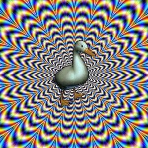 Meet your Posher, Luis